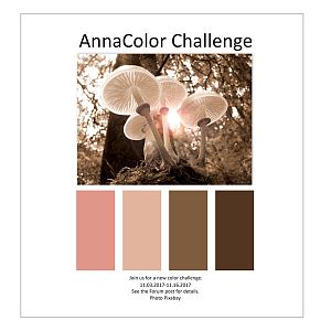 AnnaColor Challenge 11.03.2017-11.16.2017