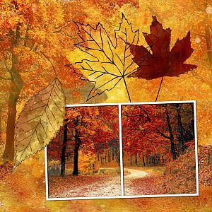 Autumn Glory-Anna Lift 11-17