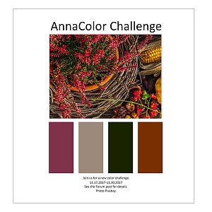 AnnaColor Challenge 11.17.2017-11.30.2017