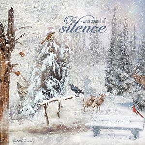 Christmas coming _ Silence