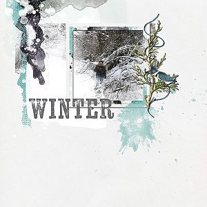 52 Inspirations 2017 - no 48 - Winter by Maya de Groot