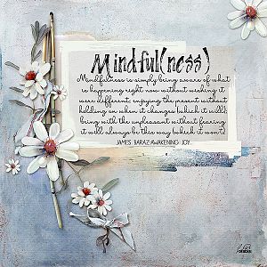 Mindful(ness)