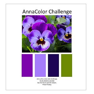 AnnaColor Challenge 01.05.2018-01.18.2018