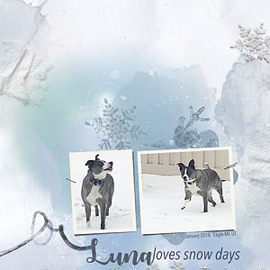 Anna Lift_01-006-18_Luna Loves Snow Days