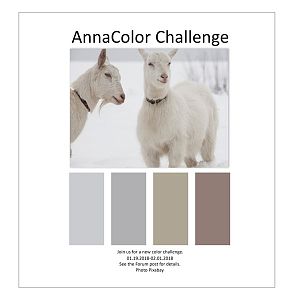 AnnaColor Challenge 01.19.2018-02.01.2018