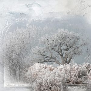 Winter Glistening (AnnaColor Challenge 2.1.2018)