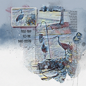 Anna Lift ~ Sand Hill Cranes on a field trip