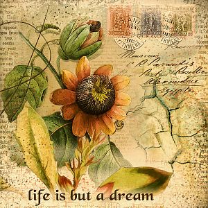 Life is But a Dream