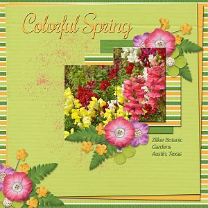 Colorful Spring