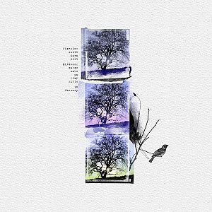 January Trees - Anna Lift