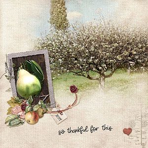 Pear Tree