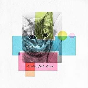 Color Theory Challenge: Colorful Cat