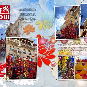 Chinese New Year Flower Fair
