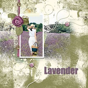 Lavender