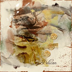 Pelican-Anna lift