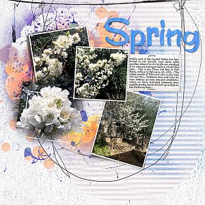 2018 Challenge 2 Spring Blooms