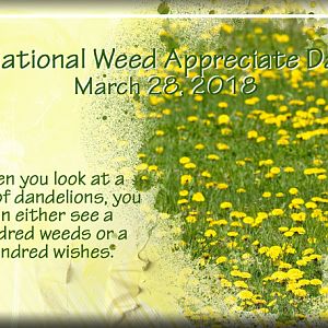 ATC 2018-040 National Weed Appreciation Day