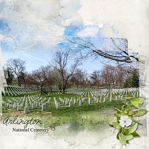 Arlington Natl Cemetery