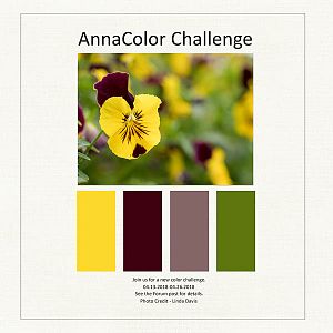 AnnaColor Challenge 4.13.2018-4.26.2018