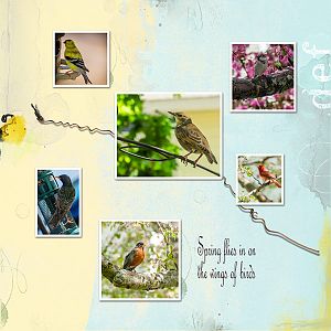 AnnaLift 4/14/18 - 4/20/18 - spring birds