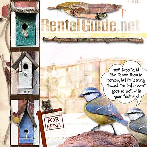 OAWA_4-1-18_Birdhouse Rental Decisions