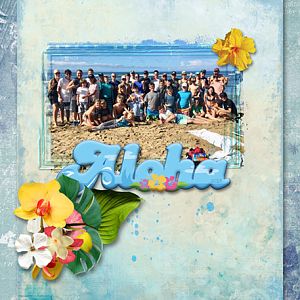 Challenge 1_ Template_Aloha