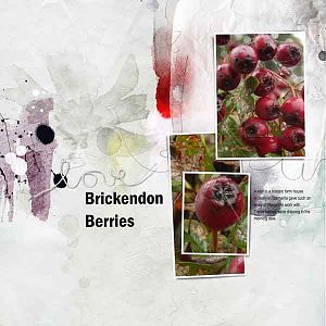 Brickendon Berries