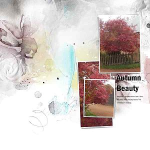 Autumn Beauty