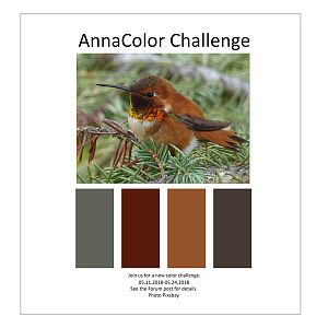AnnaColor Challenge 05.11.2018-05.24.2018
