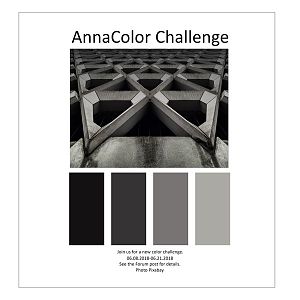 AnnaColor Challenge 06.08.2018 - 06.21.2018