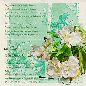 La tulipe de Thophile Gautier