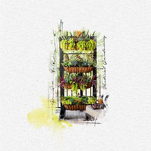 Vertical Gardening/Anna lift