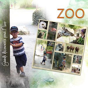Nino et la dcouverte d'un Zoo challenge1