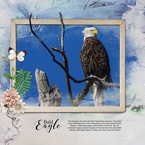 Anna Lift eagle