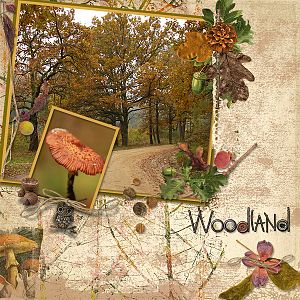 Woodland