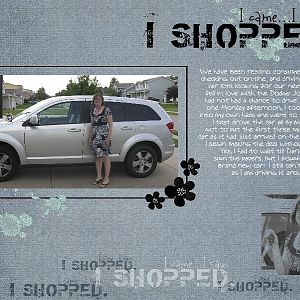 Shopping for New Car