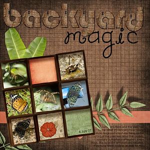 Backyard Magic
