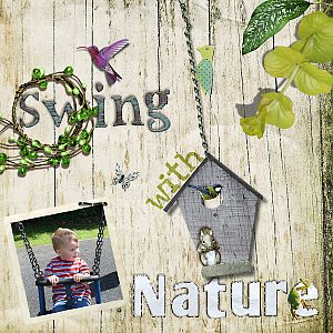 Swing With Nature