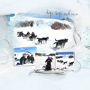 2018Aug11 dogs boys snow