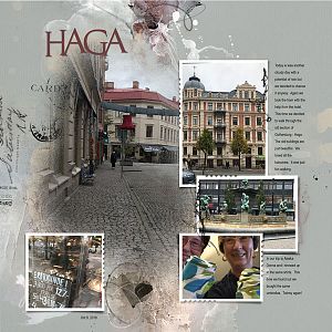 2018Oct9 Haga