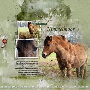 Himmelmoor