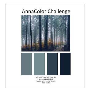 AnnaColor Challenge 11.16.2018-11.29.2018