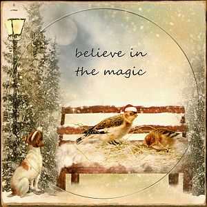 believe in the magic