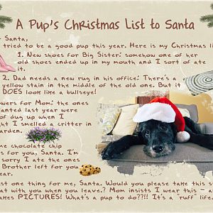 A Pup's Christmas List to Santa