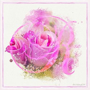 Floral Winds - Rose