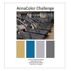 AnnaColor Challenge 01.04.2019-01.17.2019