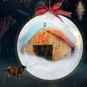 Echoes of Christmas on the Farm