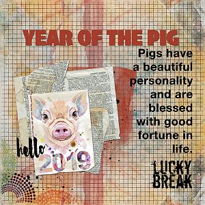 Year of the Pig