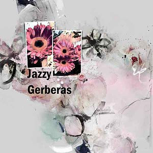 Jazzy Gerbera's