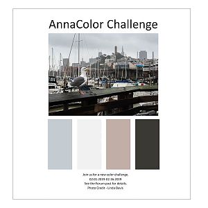 AnnaColor Challenge 02.01.2019 - 02.14.2019